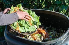 Desperdicio de alimentos: a nivel mundial, el 40% de los alimentos nunca son consumidos y terminan en la basura cada año
