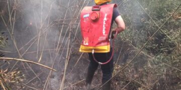 La Policía sigue extinguiendo incendios en toda la Provincia