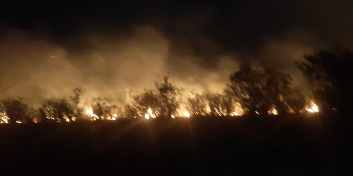 Operativos de seguridad ciudadana: sofocaron principios de incendios en la provincia