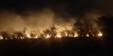 Operativos de seguridad ciudadana: sofocaron principios de incendios en la provincia