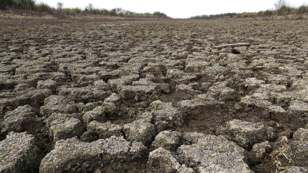 Medio ambiente: las sequías y las precipitaciones extremas son un flagelo en América del Sur
