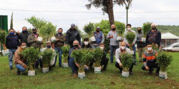 Productores inscriptos en Plan Leña Renovable comenzaron a recibir sus plantines