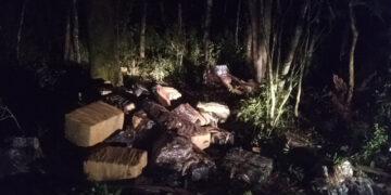 Colonia Delicia: detectan más de una tonelada de marihuana en el monte