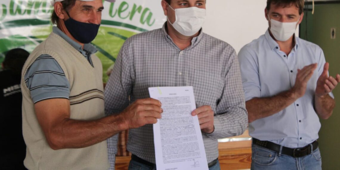 Impulso a la producción apícola en Campo Viera