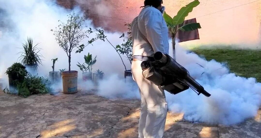 Se redoblan las acciones para prevenir la proliferación del mosquito Aedes aegypti