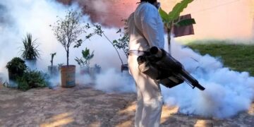 Se redoblan las acciones para prevenir la proliferación del mosquito Aedes aegypti