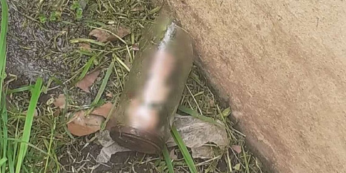 Hallazgo macabro: un jardinero encontró un pene adentro de un frasco cuando cortaba el pasto en una casa