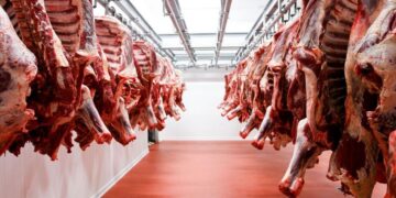 El Gobierno liberó las exportaciones de carne a China