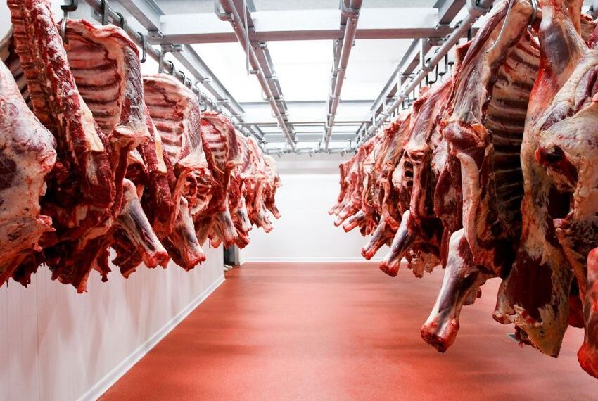 El Gobierno liberó las exportaciones de carne a China