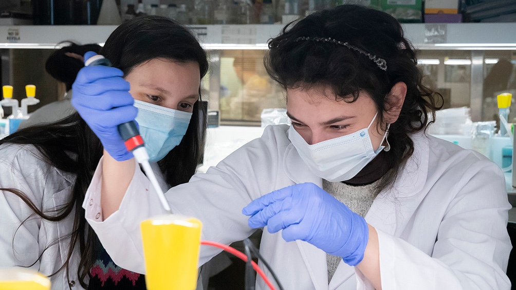 Los seis proyectos de vacunas contra el coronavirus que se desarrollan en nuestro país