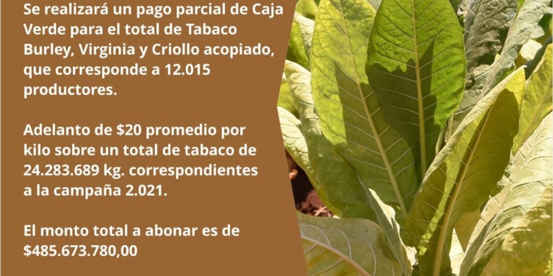 Tabaco: pagan más de 485 millones de pesos de la Caja Verde