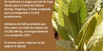 Tabaco: pagan más de 485 millones de pesos de la Caja Verde