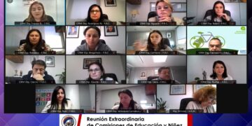 Misiones tendría una biblioteca digital gratuita