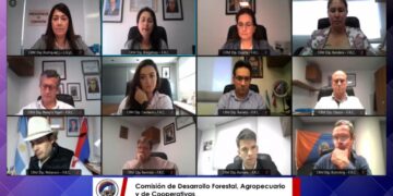 Buscan incentivar la producción de arroz orgánico en la provincia