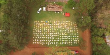 Trasladaban más de cinco toneladas de marihuana ocultas entre rollos de madera