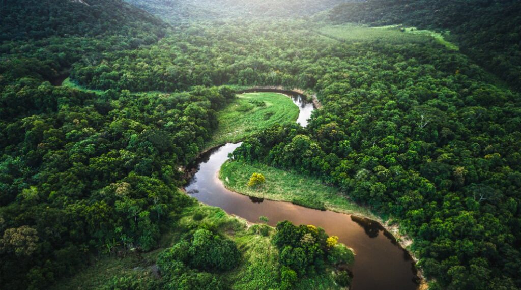 Ambiente: por primera vez la Amazonía genera más dióxido de carbono del que absorbe