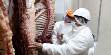 Los cortes de carne a precios accesibles se mantienen hasta fin de año