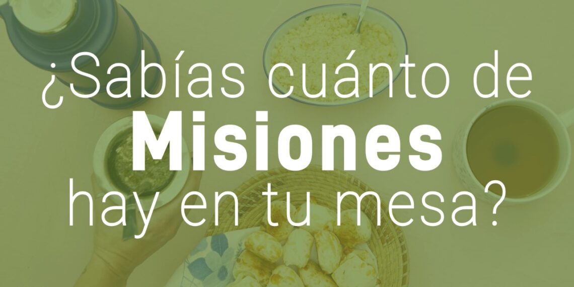 Yerba mate, una agroindustria que posiciona a Misiones en la mesa de cada familia argentina