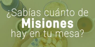 Yerba mate, una agroindustria que posiciona a Misiones en la mesa de cada familia argentina