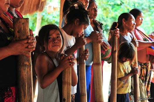 Declararon de interés provincial la producción del Arte Sonoro Tradicional Mbya