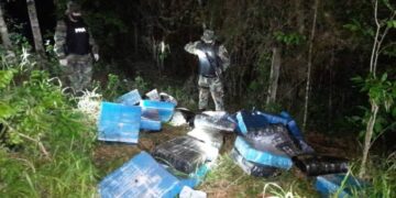 Incautaron más de una tonelada de marihuana y arrestaron a cinco hombres en Puerto Rico