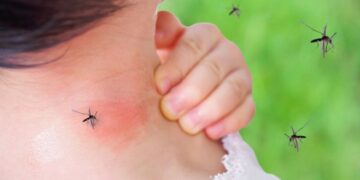 Investigadores desarrollaron un potente antiviral para tratar y prevenir el Dengue
