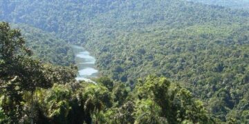 Misiones reclama una compensación de $114 mil millones por cuidar la naturaleza