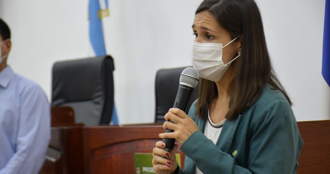 Aprobaron la creación de una plataforma virtual para emprendedoras posadeñas