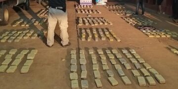 Cayeron dos motociclistas con más de 300 kilos de marihuana en Jardín América