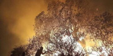 Hay incendios forestales activos en nueve provincias