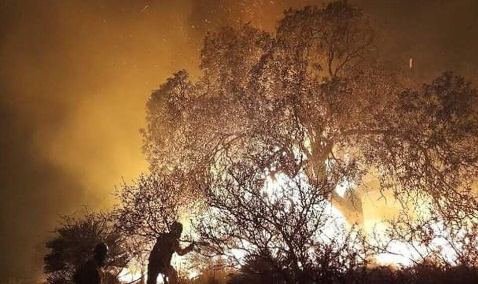 Hay incendios forestales activos en nueve provincias