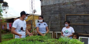 Se afianza la actividad de los productores en el cinturón verde de Posadas
