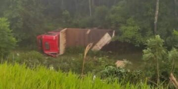 Un camionero falleció tras despistar sobre la ruta 13