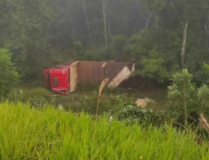Un camionero falleció tras despistar sobre la ruta 13