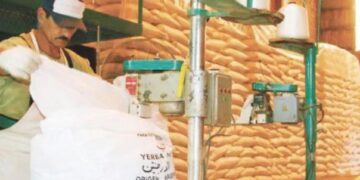 Las exportaciones en Misiones aumentaron casi 10% en los primeros 6 meses del 2021