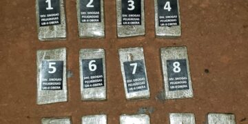 Incautaron más de 9 kilos de marihuana en Colonia Alberdi