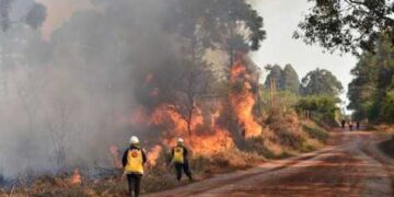 El índice de peligrosidad de incendios es “extremo” en Misiones
