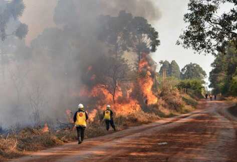 El índice de peligrosidad de incendios es “extremo” en Misiones
