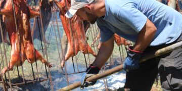Fiesta del lechón: destacan crecimiento exponencial de la actividad porcina