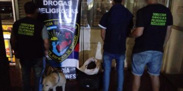 El perro antinarcóticos “Magnum” de la Policía detectó una valija con marihuana en la terminal de Posadas