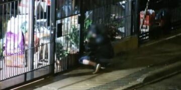 Terminó detenido al ser captado por las cámaras de seguridad cuando intentaba robar en un comercio posadeño