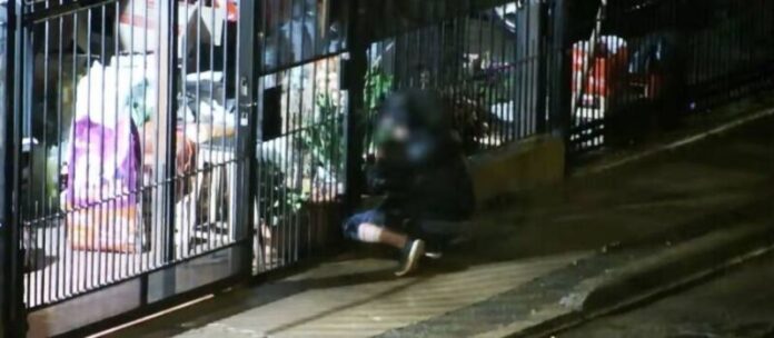 Terminó detenido al ser captado por las cámaras de seguridad cuando intentaba robar en un comercio posadeño