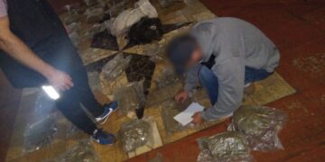 Incautaron más de 33 kilos de marihuana en Jardín América