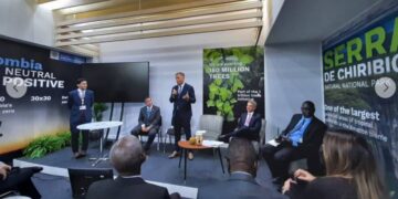 Misiones realiza un anuncio histórico ante la ONU: recibirá fondos para seguir cuidando la selva