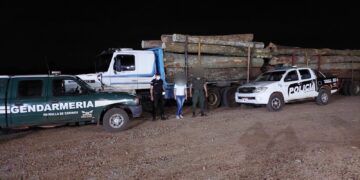 Secuestraron un camión con madera presuntamente robada