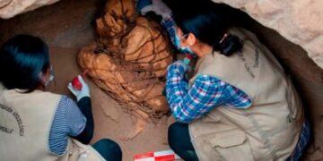 Perú: hallaron una momia de 800 años en una misteriosa posición