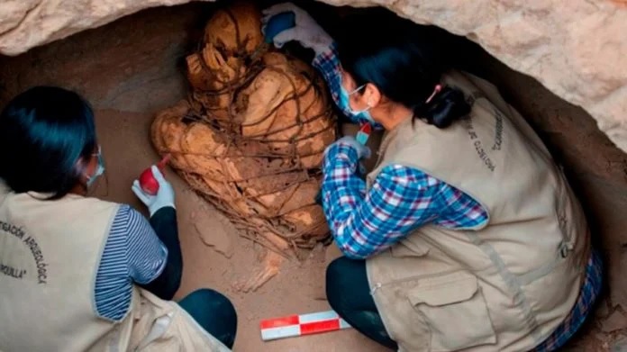 Perú: hallaron una momia de 800 años en una misteriosa posición