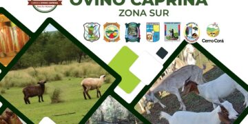 El 11 y 12 de diciembre se hará la 1° Expo de la Cuenca Ovino Caprina