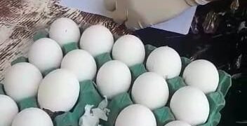 Oberá: intentaron ingresar marihuana dentro de huevos para interno de la UP II