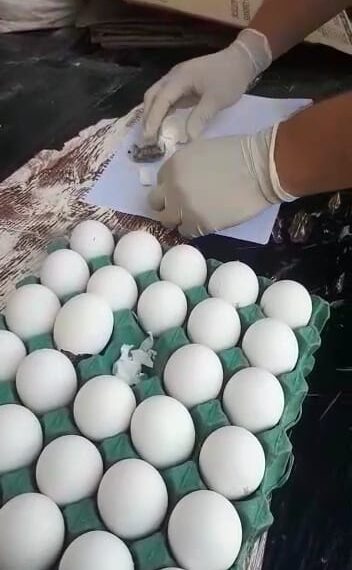 Oberá: intentaron ingresar marihuana dentro de huevos para interno de la UP II